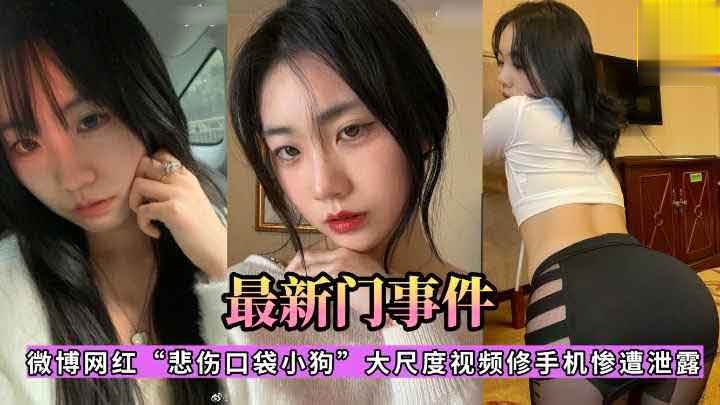 【最新门事件】微博网红_悲伤口袋小狗_大尺度 视频修手机惨遭泄露萝莉学生可爱白虎自慰